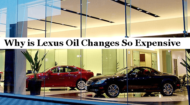 why is Lexus oil change so expensive