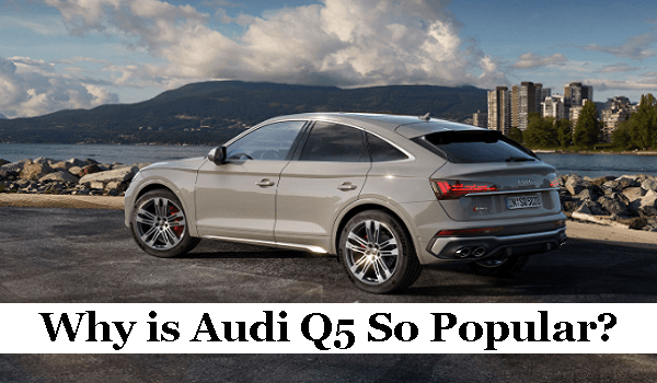 Why is Audi Q5 So Popular