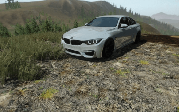 BMW M4 Years To Avoid